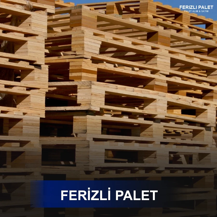 Ferizli Paletçi